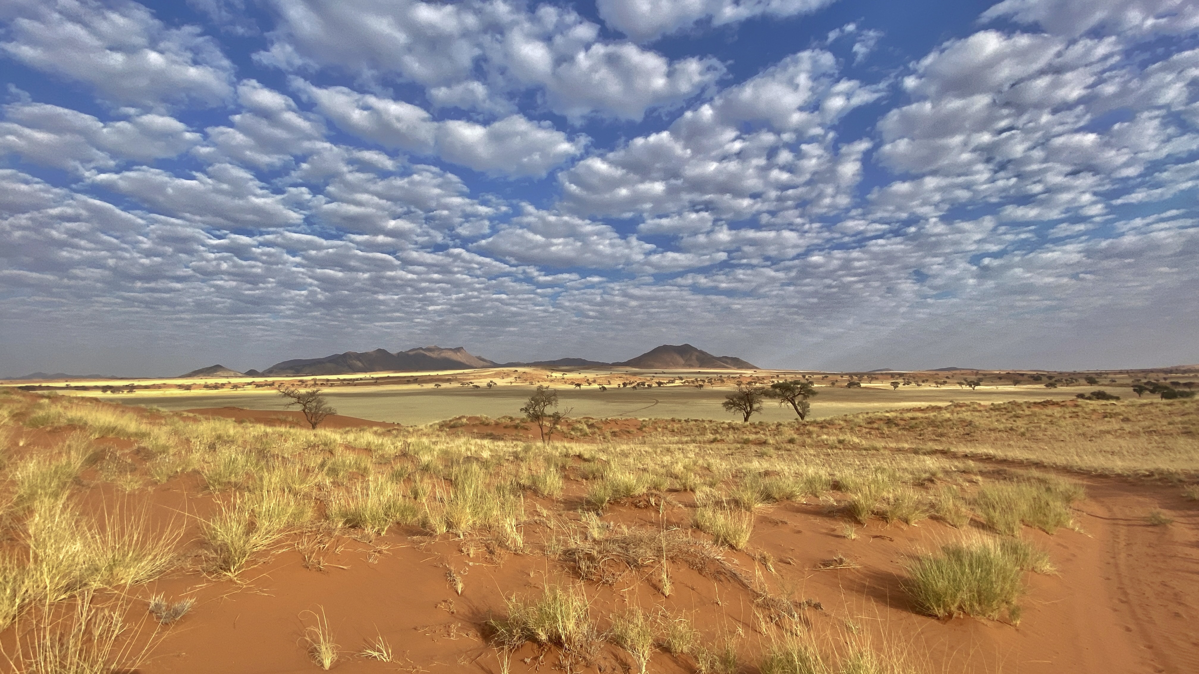 Paysage ouvert du désert namibien